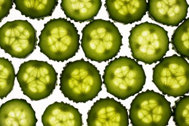 Beyaz arka planda izole edilmiş salatalık yeşili dilimler. Yaratıcı salatalık duvar kağıdı, yemek arkaplanı tasarımı