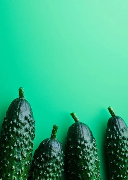 Frische Ganze Gurken Auf Grünem Hintergrund Lebensmittelmuster Garten Gurke Tapete — Stockfoto