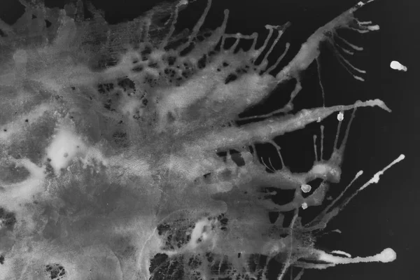Siyah Beyaz Soyut Sıvı Arkaplan Boya Sıçraması Sıvı Sanat Bilimsel — Stok fotoğraf