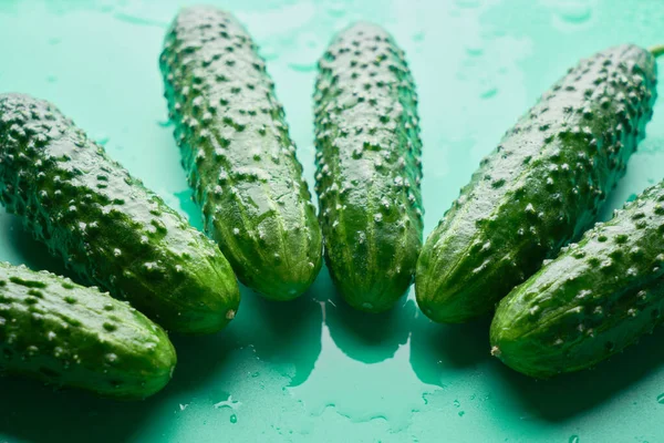 Frische Ganze Gurken Auf Grünem Hintergrund Lebensmittelmuster Garten Gurke Tapete — Stockfoto