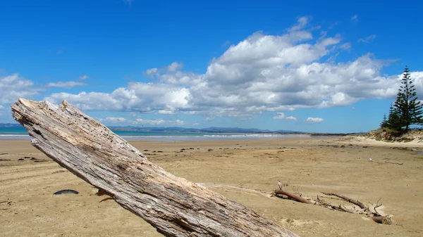 Tokerau пляж, Нова Зеландія — стокове фото