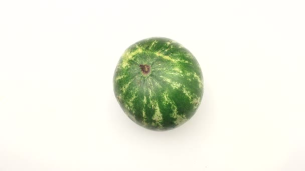 Cutting watermelon on white background — Stock Video