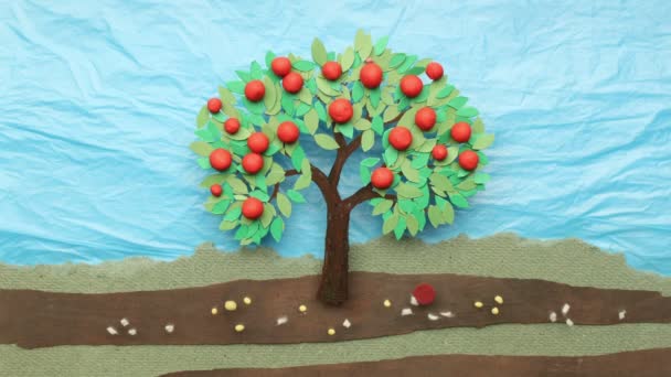 Quatre saisons photographiées sur un arbre 