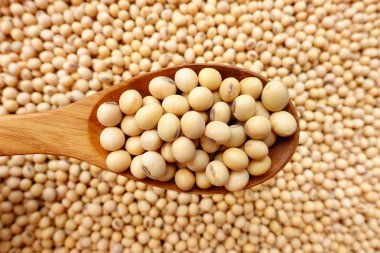 Soya fasulyesi arka planı için