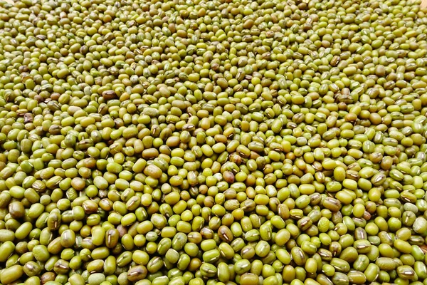 yeşil fasulye arka planı için