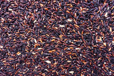 Pirinç berry arka planı için 