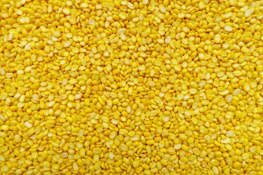 arka plan için sarı fasulye 