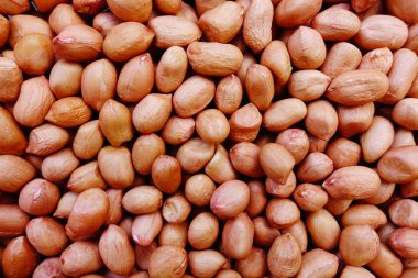 arka plan için fıstık fasulye 