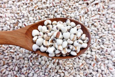 Darı taneleri için arka plan 