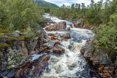 Norveç 'in Senja adasındaki Storforsen akıntıları