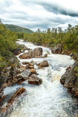 Norveç 'in Senja adasındaki Storforsen akıntıları