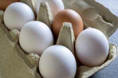 Beyaz ve kahverengi taze yumurtalar. Doğa geçmişi. Sağlıklı yemek pişirmek için karton kutuda tavuk yumurtası. Çiftlikteki biyoorganik yumurtalar. Yiyecek konsepti.