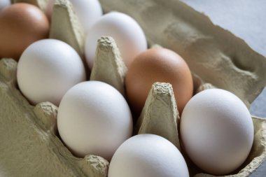 Beyaz ve kahverengi taze yumurtalar. Doğa geçmişi. Sağlıklı yemek pişirmek için karton kutuda tavuk yumurtası. Çiftlikteki biyoorganik yumurtalar. Yiyecek konsepti.