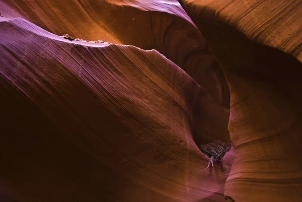 Antilope canion arizona — Fotografie, imagine de stoc