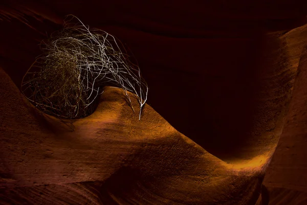 Antilope canion arizona — Fotografie, imagine de stoc