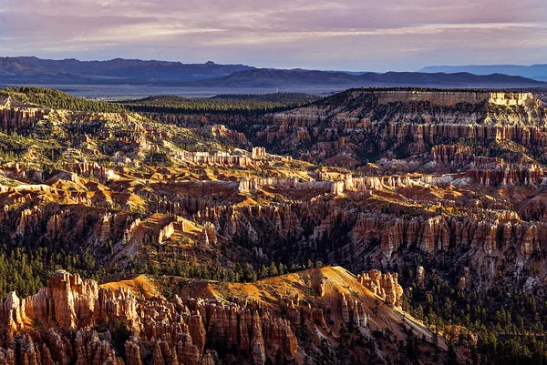 Bryce Canyon Np — Zdjęcie stockowe