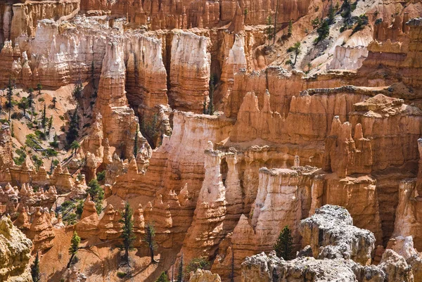 Bryce Canyon Np — Zdjęcie stockowe