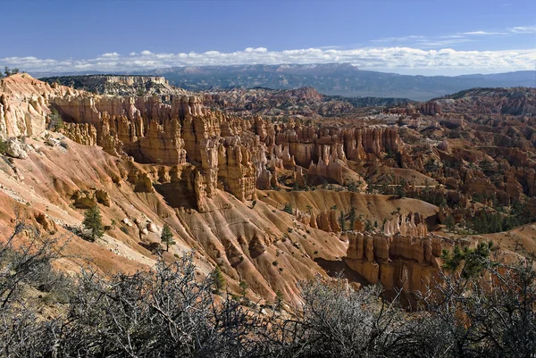 Bryce Canyon Np — Zdjęcie stockowe