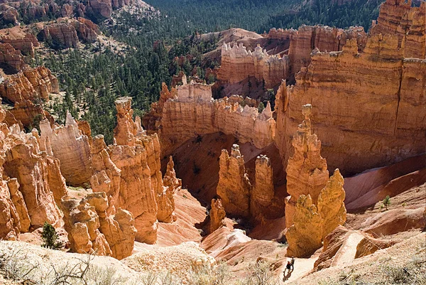 Bryce Canyon NP — Fotografie, imagine de stoc