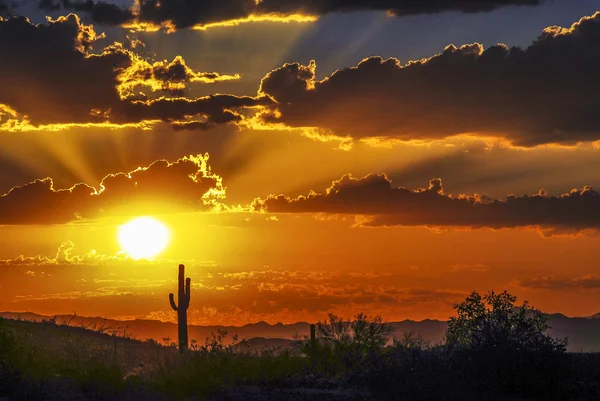 Arizona's sunrise — Stock Photo, Image