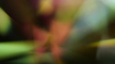 Rotating Diamond Prism Macro Motion Background
