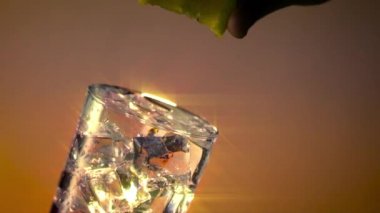 Buzlu Su Bardağı Sıkma Limon Yıldız Filtresi