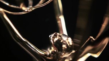 Emmy Ödülü Yakından Çevir