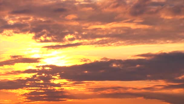 Piękny złoty zachód słońca — Wideo stockowe