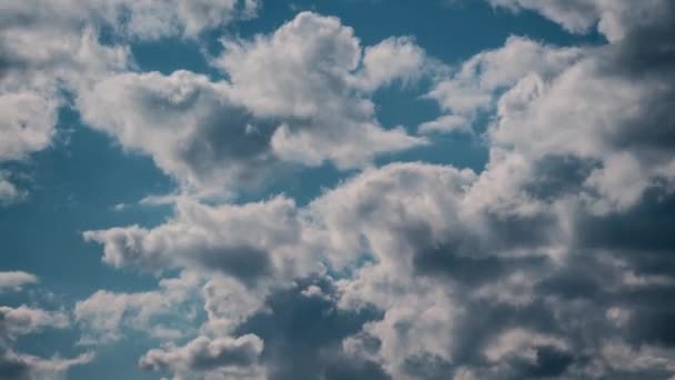 Nuages dans le vent — Video