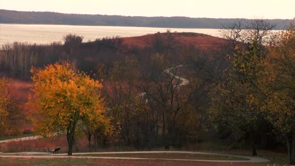 Lake Hill Park — Stockvideo