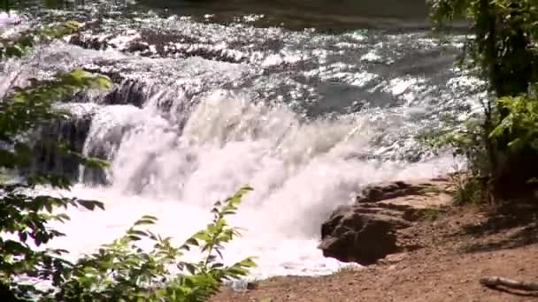 Bosque cascada Creek — Vídeo de stock