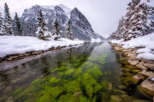 Lake Louise bir kar yağışı sonra