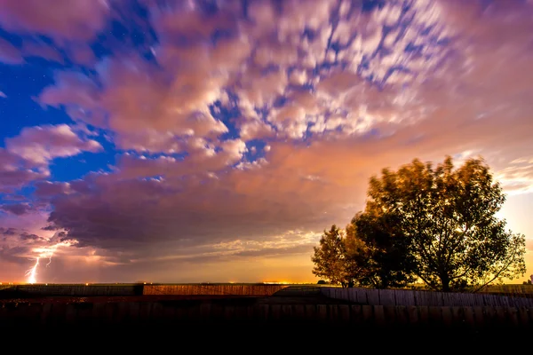 Tree at night with lightning clouds — Stock Photo, Image