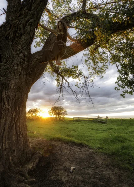 Chica vistiendo un vestido en árbol — Foto de Stock