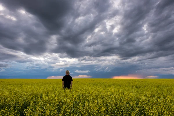 Tipo solitario de pie en el campo abierto de granja durante la tormenta — Foto de Stock