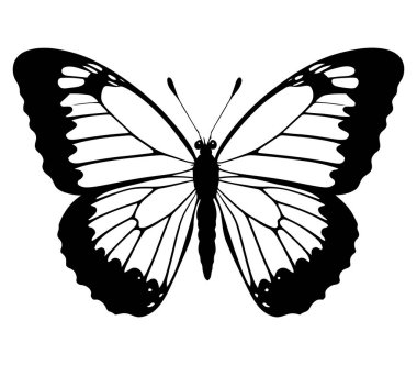 Canlı kelebek siluet vektör çizimleri bahçe dekorasyonu ekolojik markalaşma ve böcek temalı tasarımlar için uygun kanat detaylarıyla. Vektör illüstrasyonu