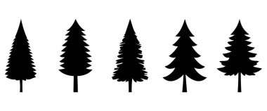 Kozalaklı kozalaklı kozalak türleri, botanik rehberleri ve mevsimlik dekorasyon için Noel ağacı çiftliği sanatı türleridir. Vektör illüstrasyonu