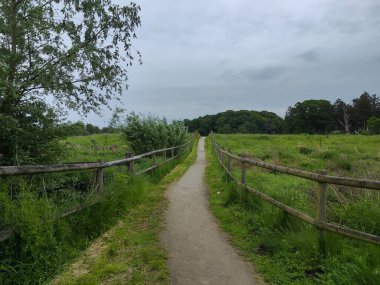 Bereketli yeşil alanlar boyunca uzanan toprak yol