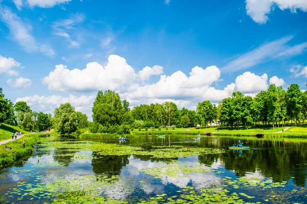 Yaz sıcağında gölette