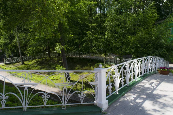 ağaçların arasında köprü