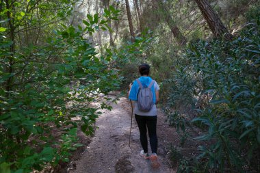 Bir kadın çalılar ve uzun çam ağaçları arasında bir yol boyunca yürür, sırtında bir sırt çantası ve bir kep taşır, destek için tahta bir sopa tutar..