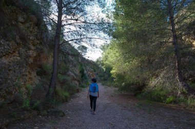 Bir kadın bir yol boyunca yürür ve güneşli bir sonbahar gününde bir vadi yatağına girer; kız omuzlarının üzerine sarılı mavi bir kazak giymektedir.