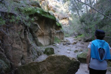 Yürüyüş yapan bir kadın, güneşli bir sonbahar gününde, çalılık arazisi olan ve yolu daraltan bir alana girer. Egzersiz için mükemmeldir..