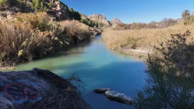 İspanya 'daki Segura Nehri kıyısında bir yaya köprüsü ve bol bitki örtüsü var.