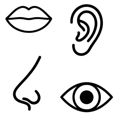 İnsan Duyuları Simgesi Siluet Vektör İllüzyonu Göz Kulağı Burun Ağzı Paketi