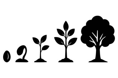 Ağaç büyüme aşama vektörü seti tohum filizlenmesini ve olgun bitki gelişimini gösterir