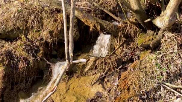 Гірський Потік Невеликим Водоспадом Схилі — стокове відео