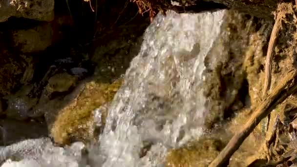 Fjällbäck Med Ett Litet Vattenfall Sluttningen — Stockvideo