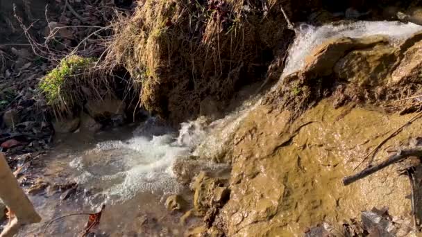 Corriente Montaña Con Una Pequeña Cascada Pendiente — Vídeo de stock