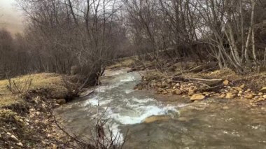 Ormandaki resim gibi bir nehir. Kuzey Kafkasya 'nın manzarası ve doğası